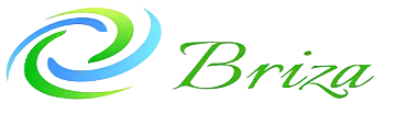 Logo Oficial Briza